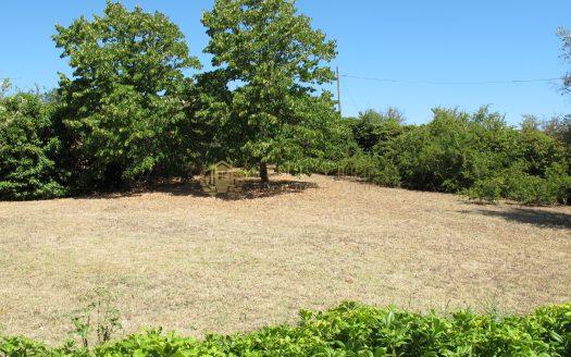 Torraccia: Villa con Spettacolare vista