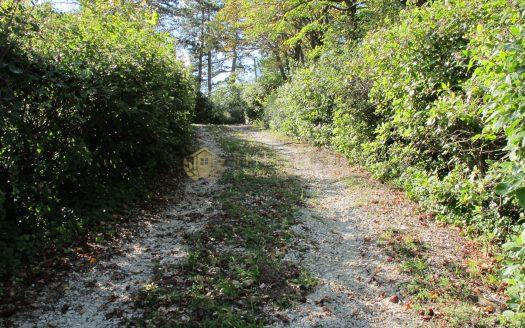 Fiorentino : Casale Panoramico Trattativa Riservata