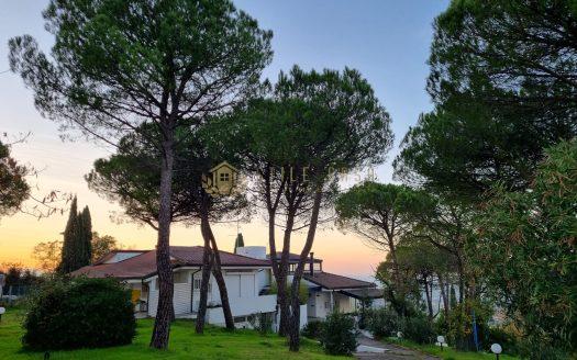 Santarcangelo di Romagna : Villa con parco e piscina