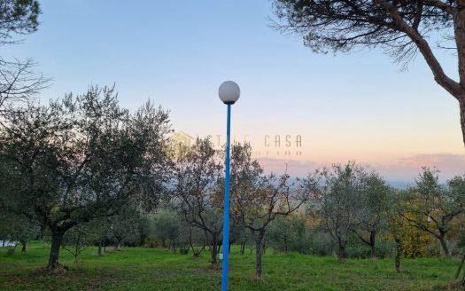 Santarcangelo di Romagna : Villa con parco e piscina
