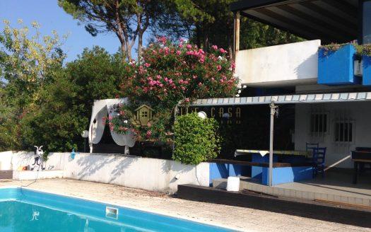 Santarcangelo di Romagna : Villa con parco e piscina