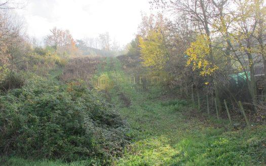Serravalle : Terreno agricolo in vendita