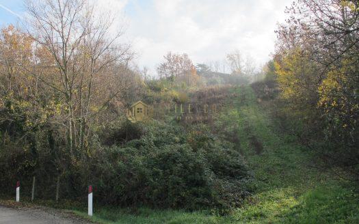 Serravalle : Terreno agricolo in vendita