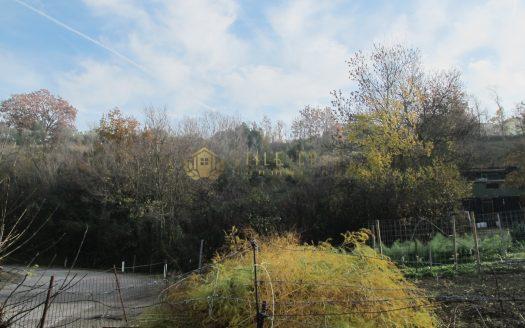Serravalle : Terreno agricolo in vendita
