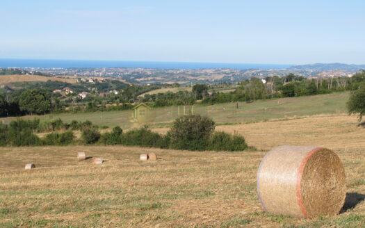 Monte Pulito : Meraviglioso Terreno Edificabile Tratt. Riservata