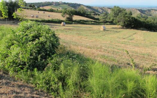 Monte Pulito : Meraviglioso Terreno Edificabile Tratt. Riservata