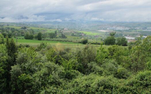 Cerasolo : Appartamenti Panoramici