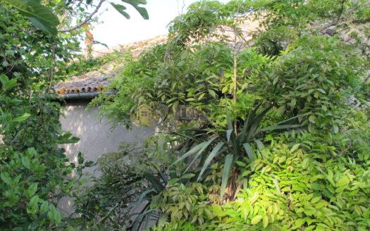 Borgo Maggiore : Rudere Oasi Verde