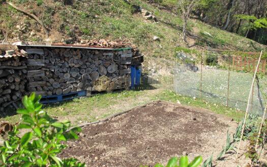 Fiorentino : Appartamento con Giardino