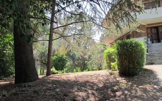 Covignano : Villa con Parco