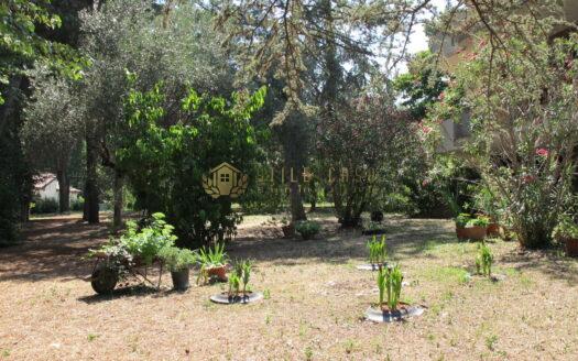 Covignano : Villa con Parco