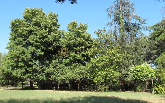 Covignano : Villa con Parco