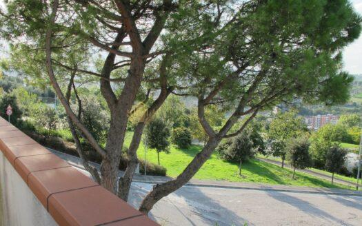 Falciano : Villa a Schiera Panoramica