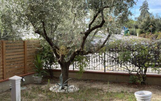 Falciano : Villa a Schiera Panoramica