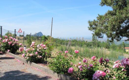 Montelicciano: Villa Unifamiliare con Parco