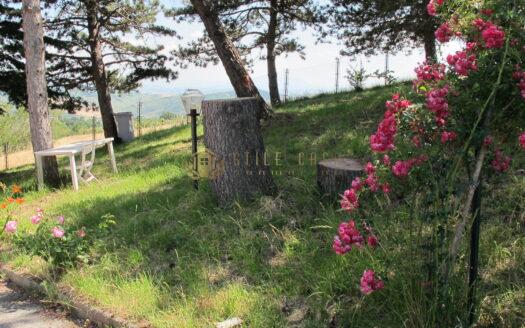 Montelicciano: Villa Unifamiliare con Parco